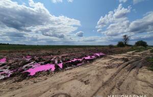 О розовых лужах в поле сообщил полицейский офицер общины