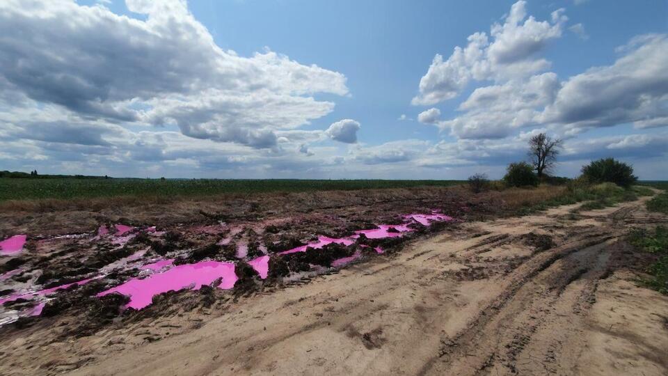 О розовых лужах в поле сообщил полицейский офицер общины