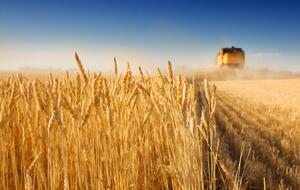 Причиной возгорания могло стать неосторожное обращение с огнем, сообщили в ГСЧС