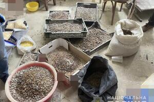 23 липня правоохоронці провели 16 обшуків за місцями проживання зловмисників