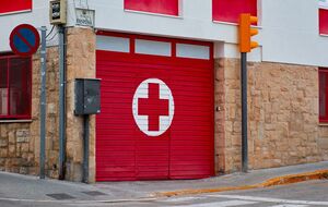 Чуму выявили у животных и блох в шести округах штата Колорадо