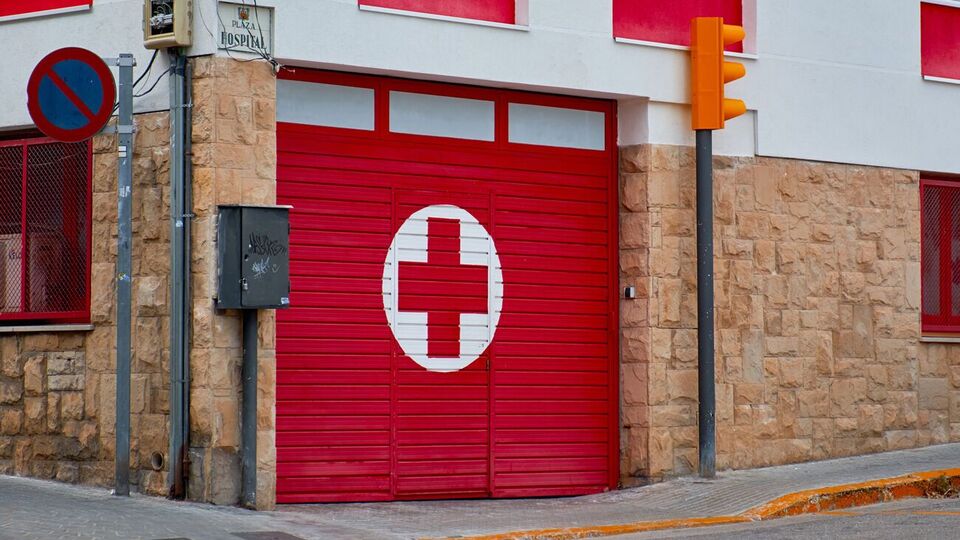 Чуму выявили у животных и блох в шести округах штата Колорадо