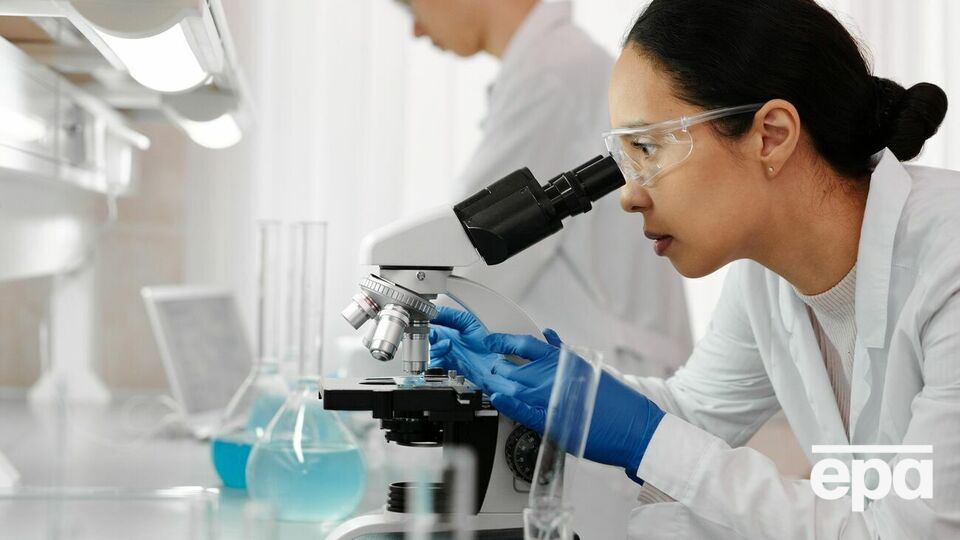 Исследование канадских ученых должно помочь в систематизации раковых заболеваний и разработке методов лечения