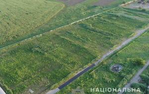 Наркоплантация находилась на территории разрушенной птицефабрики