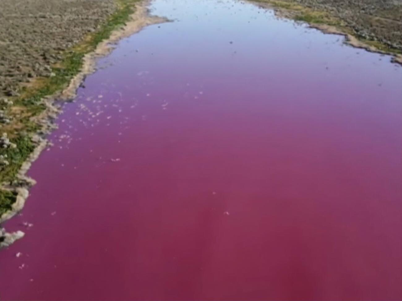 У лагуну скинули сульфід натрію, який зафарбував воду