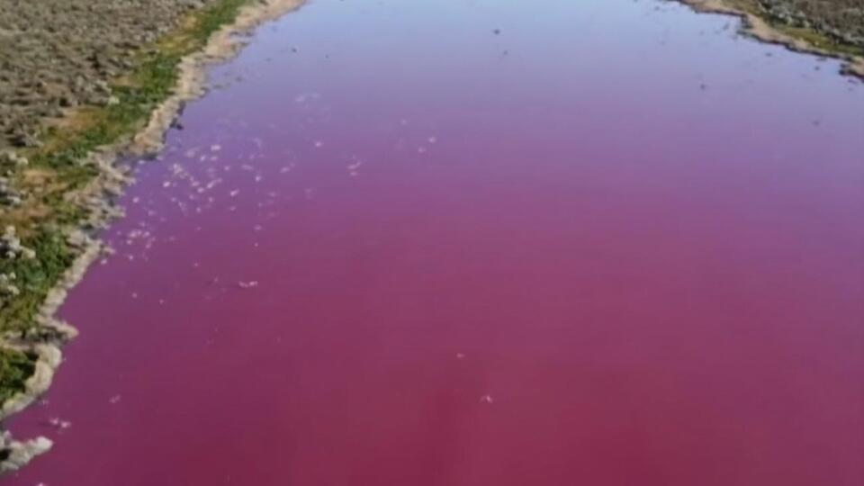 У лагуну скинули сульфід натрію, який зафарбував воду