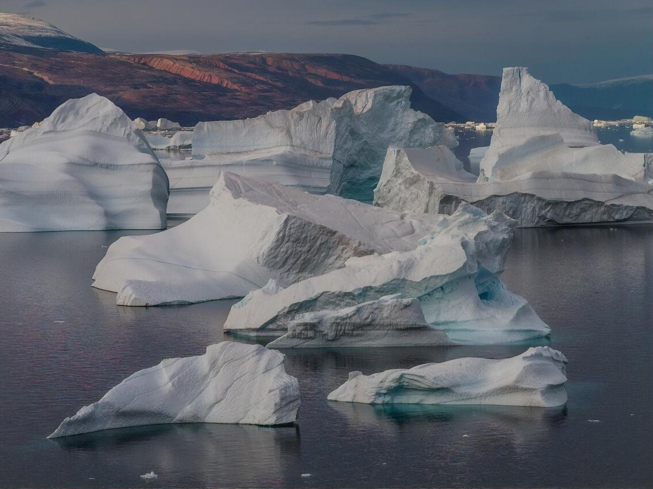 Відкриття зробили під час дослідження зразків, зібраних в Арктиці у 2013 році