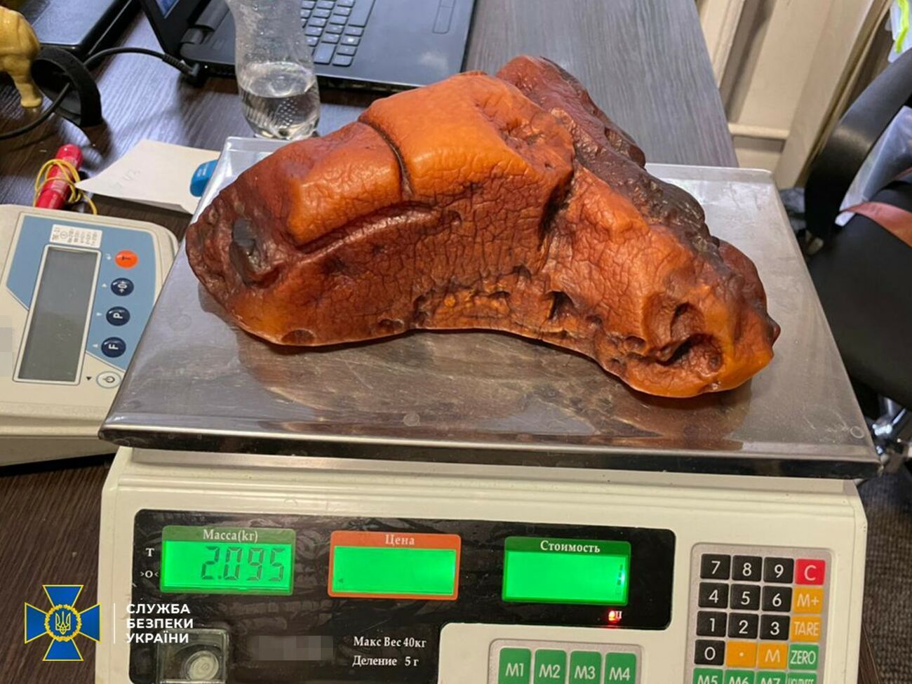 К противодействию незаконной добыче янтаря привлечена СБУ