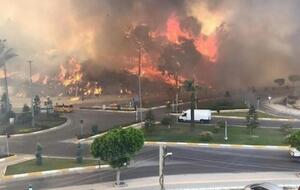 Лесной пожар вспыхнул в турецкой провинции Анталья