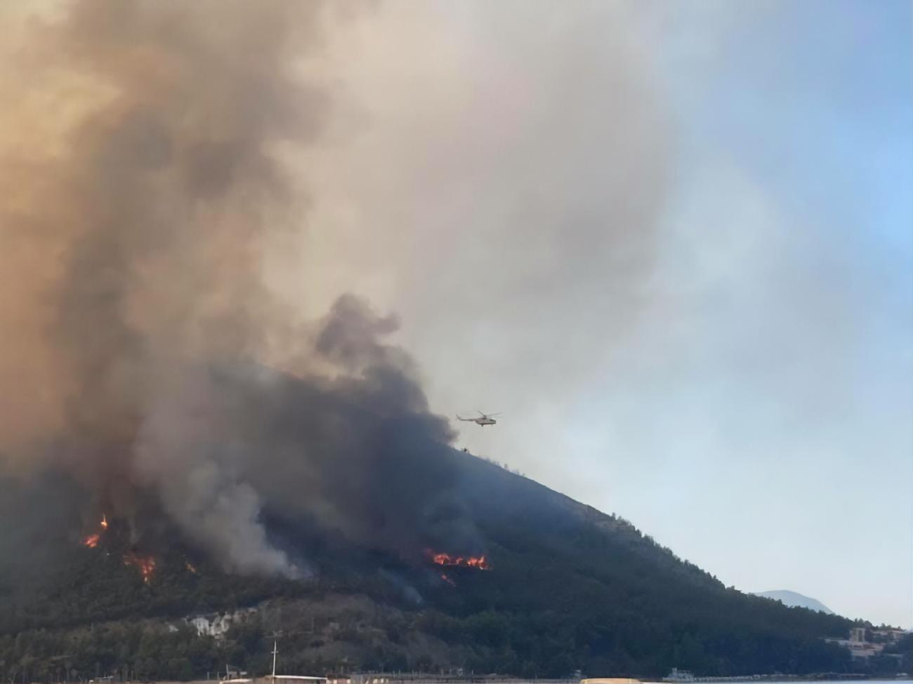 28&ndash;29 июля в 17 провинциях Турции произошло 58 лесных пожаров, 38 из них локализированы