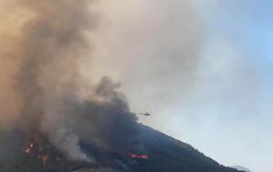 28–29 июля в 17 провинциях Турции произошло 58 лесных пожаров, 38 из них локализированы