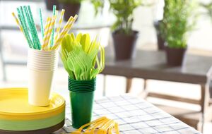 В ЕС запретили продавать одноразовую пластиковую посуду