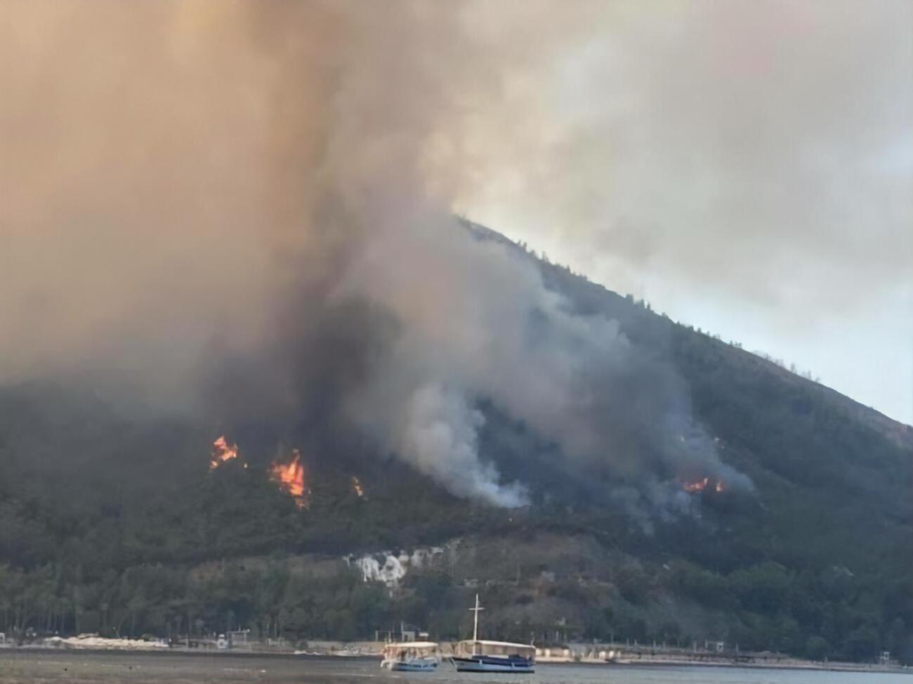 Украина поможет Турции, где сейчас бушуют лесные пожары