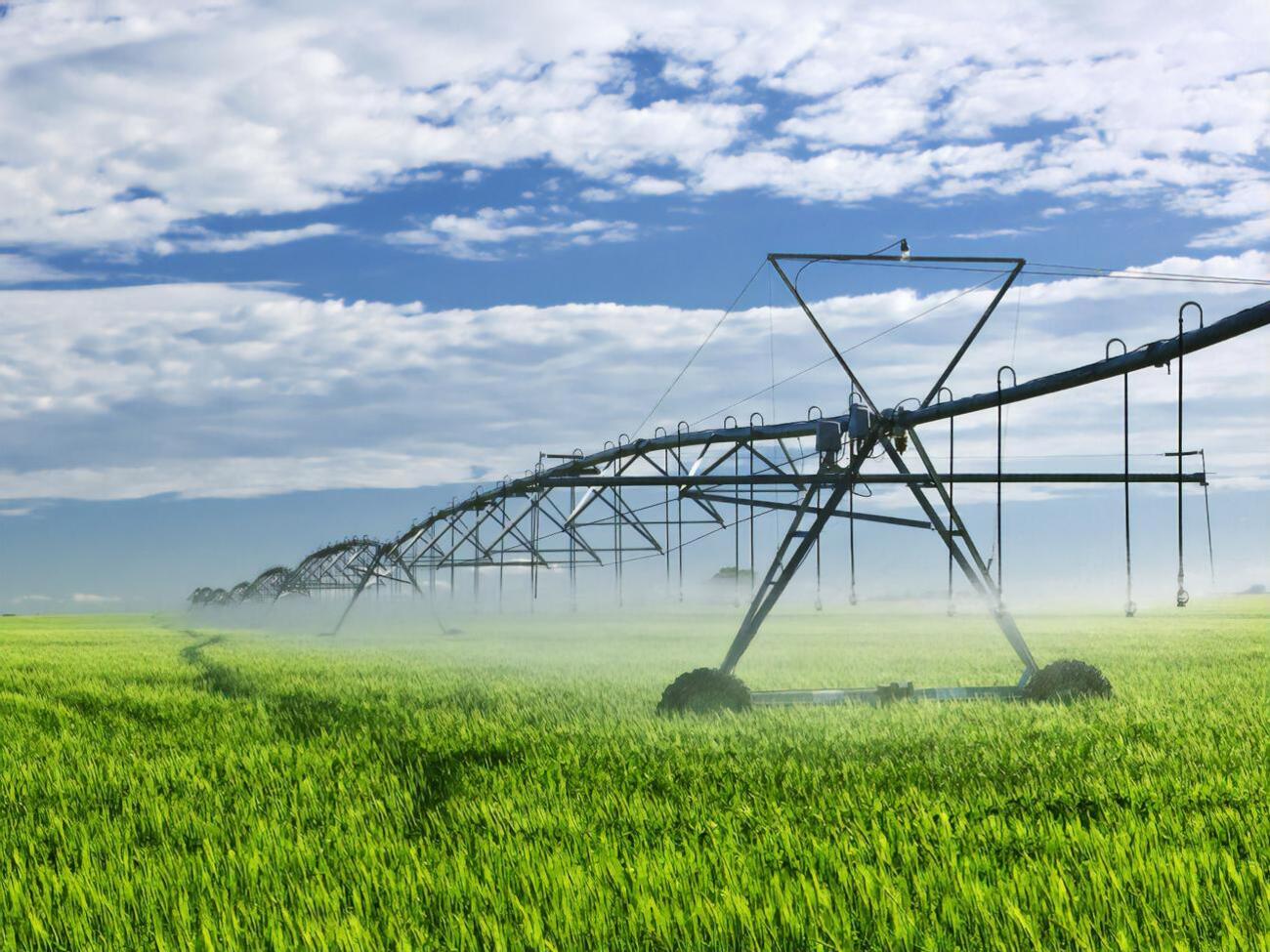 Данилов сообщил, что&nbsp;с 2022 года в сельском хозяйстве Украины максимально будут внедрять систему искусственного орошения полей