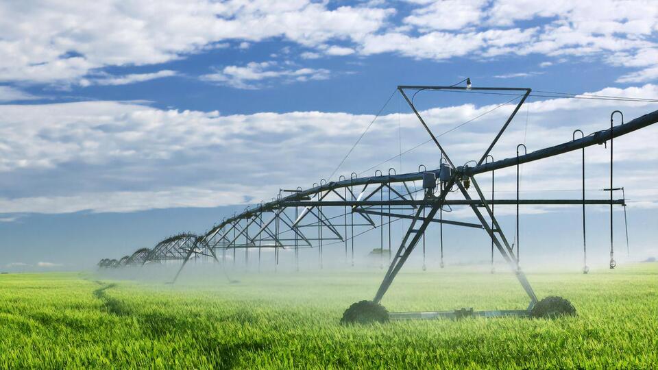 Данілов повідомив, що із 2022 року в сільському господарстві України максимально впроваджуватимуть систему штучного зрошення полів