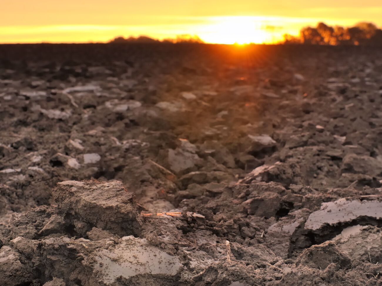 За 30 днів від моменту запуску ринку землі в Україні уклали 2901 угоду