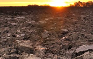 За 30 дней с момента запуска рынка земли в Украине заключили 2901 сделку