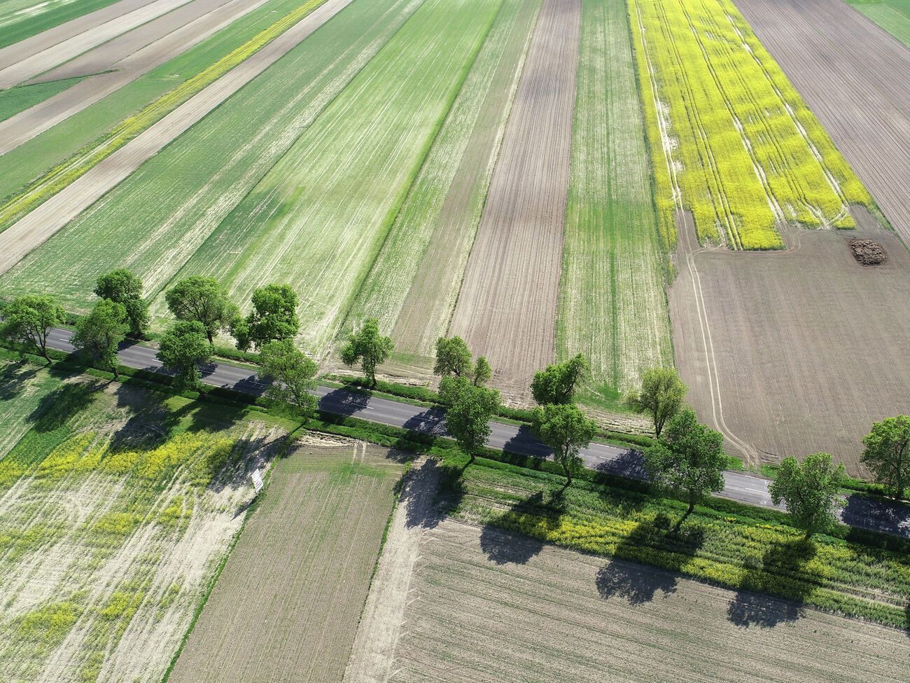 84,1% украинцев не поддерживают продажу сельскохозяйственной земли иностранцам