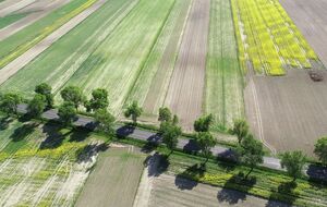 84,1% украинцев не поддерживают продажу сельскохозяйственной земли иностранцам