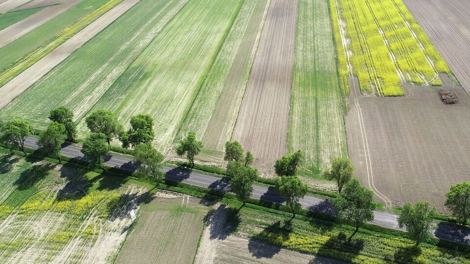 84,1% українців не підтримують продажу сільськогосподарської землі іноземцям