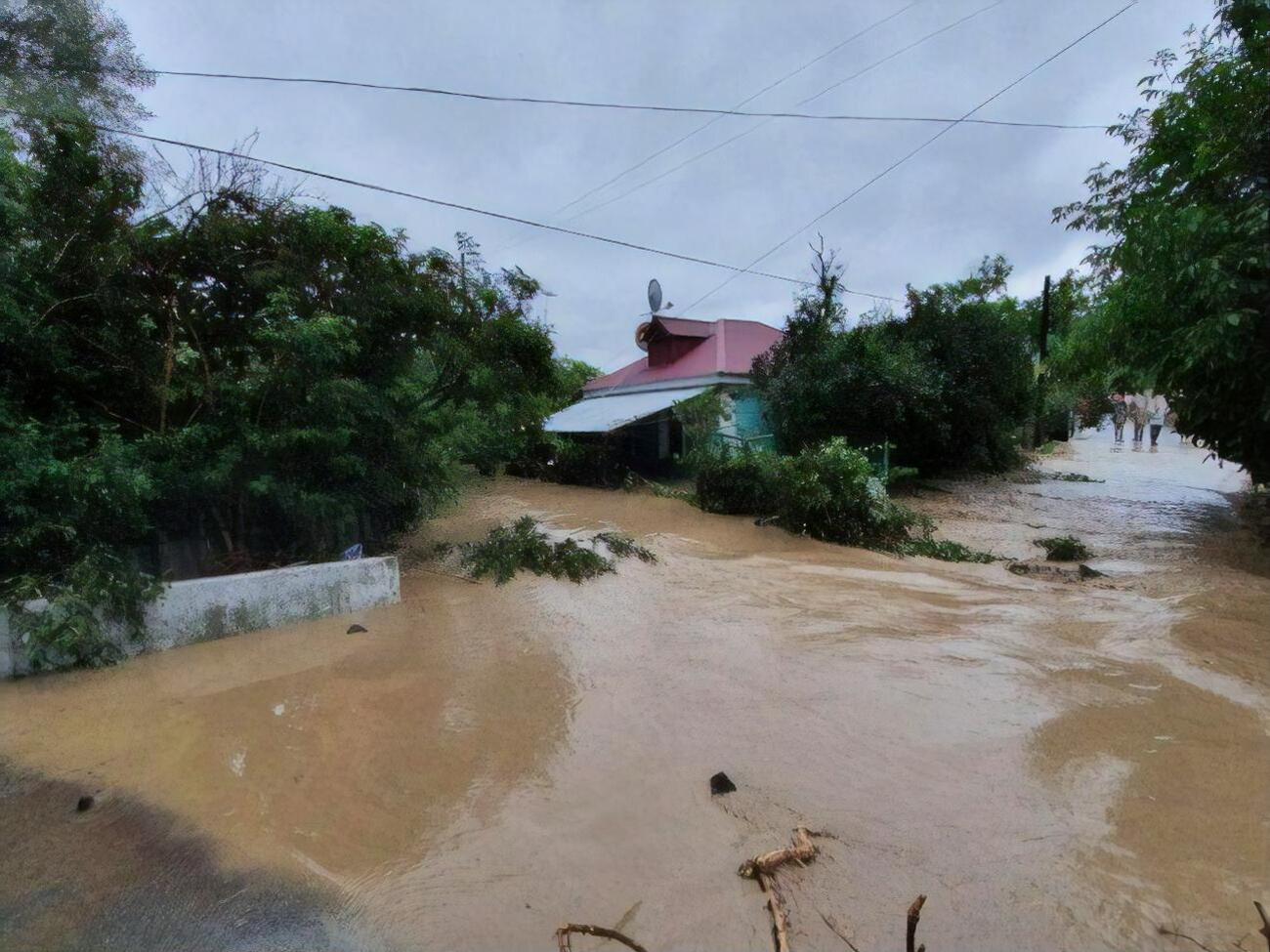 В подтопленном селе женщину смыло потоком воды
