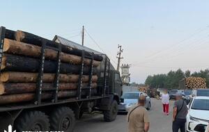 Работники ГБР остановили 26 грузовых автомобилей с древесиной