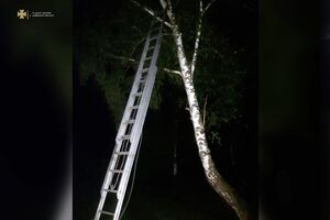Знімати дитину з дерева довелося за допомогою пожежної драбини