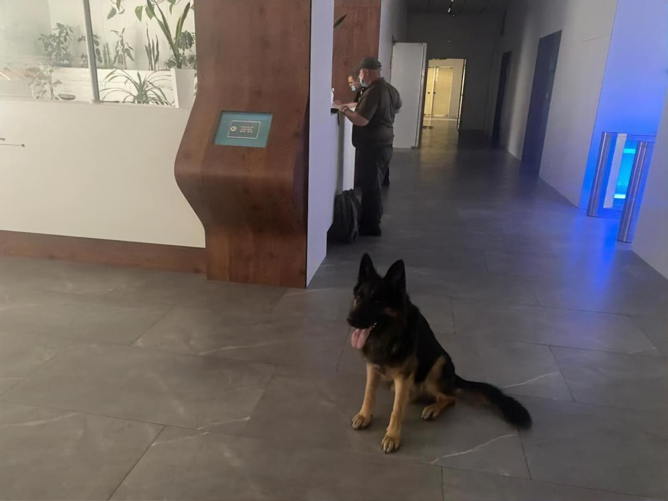 Взрывчатку в здании не нашли