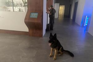 Взрывчатку в здании не нашли