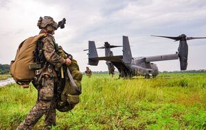 У навчаннях Sea Breeze почалася активна фаза в береговій зоні. Фоторепортаж