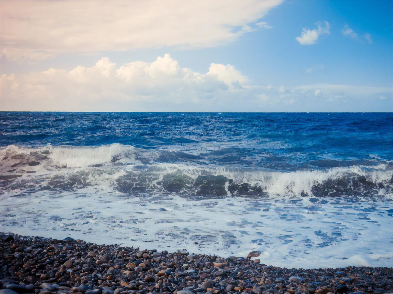 Житель Голой Пристани организовал схему, чтобы завладеть земельными участками рекреационного назначения