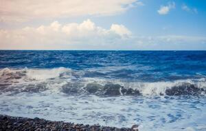 Житель Голой Пристани организовал схему, чтобы завладеть земельными участками рекреационного назначения