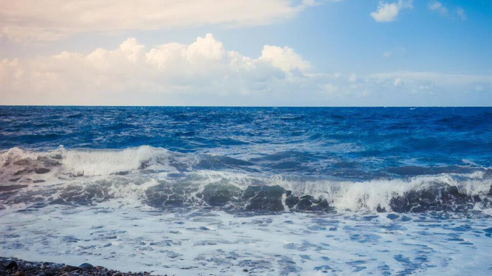 Житель Голой Пристани организовал схему, чтобы завладеть земельными участками рекреационного назначения