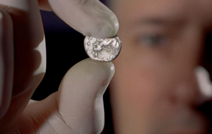 Монеты нашли в районе села Малые Подлески, где планируют построить объездную дорогу