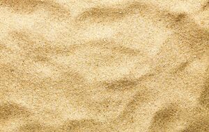 Высота замка составляет рекордный 21 метр