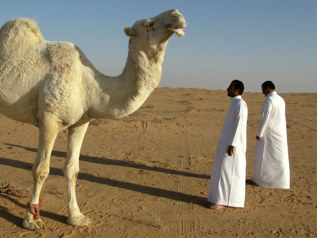Туристы из Саудовской Аравии любят зелень и дождь, рассказала Олеськив
