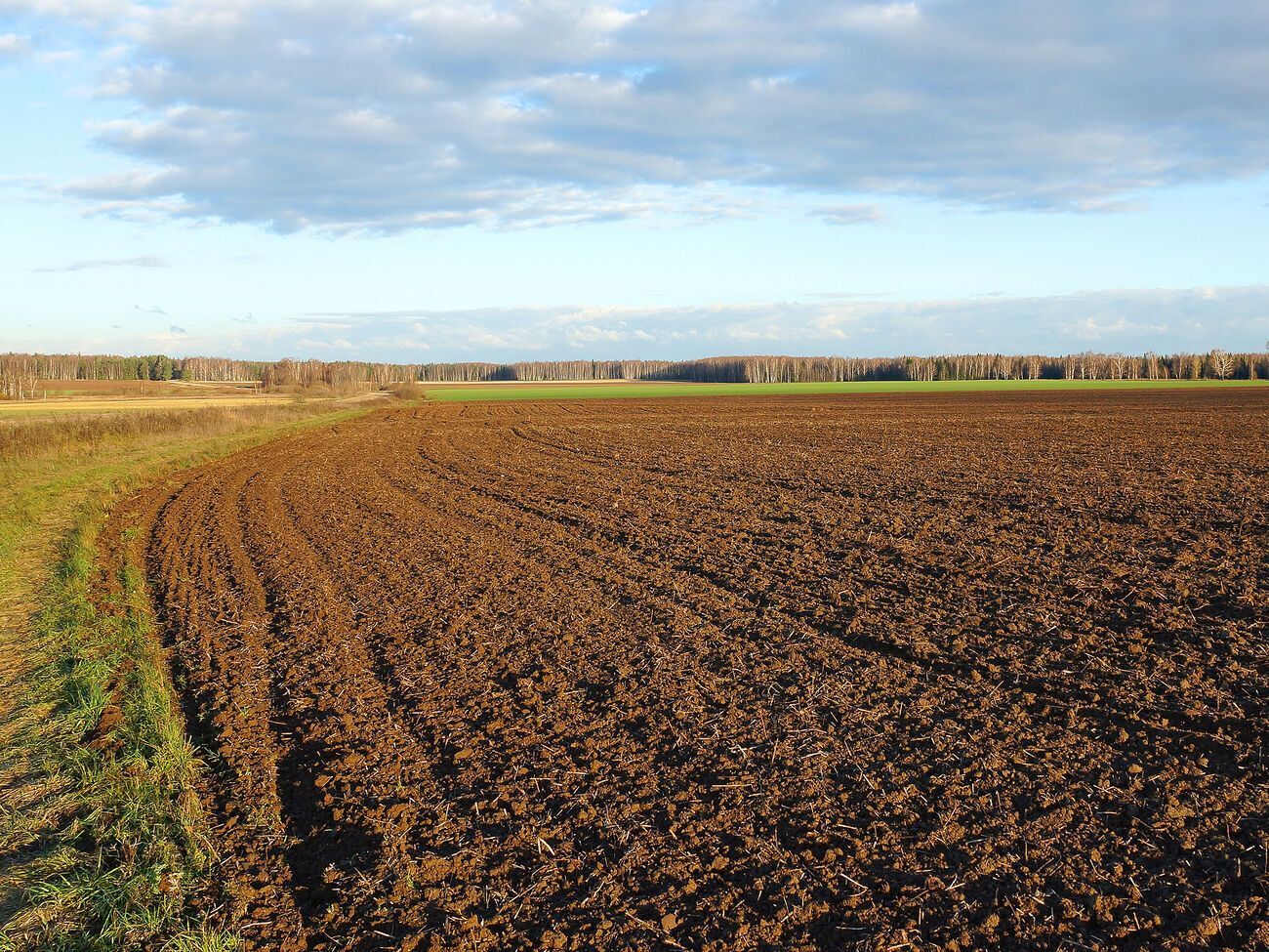 1 июля в Украине открылся рынок земли