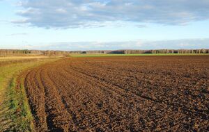 1 июля в Украине открылся рынок земли