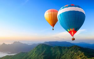 Происшествие случилось, когда воздушный шар шел на посадку