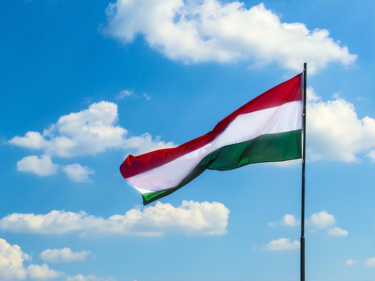 Фінансування відбувається в різних сферах, зауважують "Схеми"
