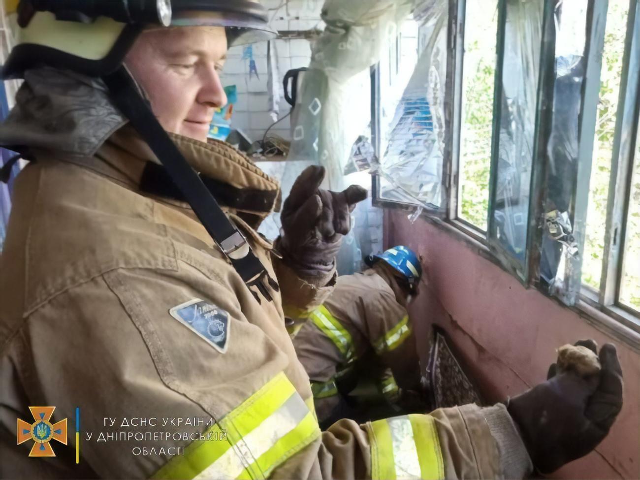 Усіх 156 кажанів рятувальники вивезли за межі селища