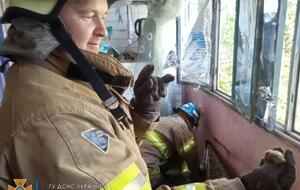 Всех 156 летучих мышей спасатели вывезли за пределы поселка