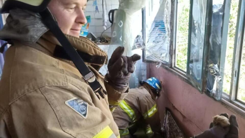 Усіх 156 кажанів рятувальники вивезли за межі селища