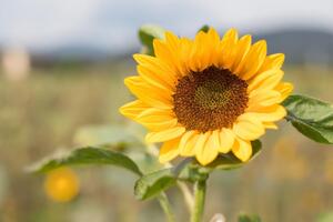 Сегодня 1 августа, до конца 2021 года осталось 152 дня