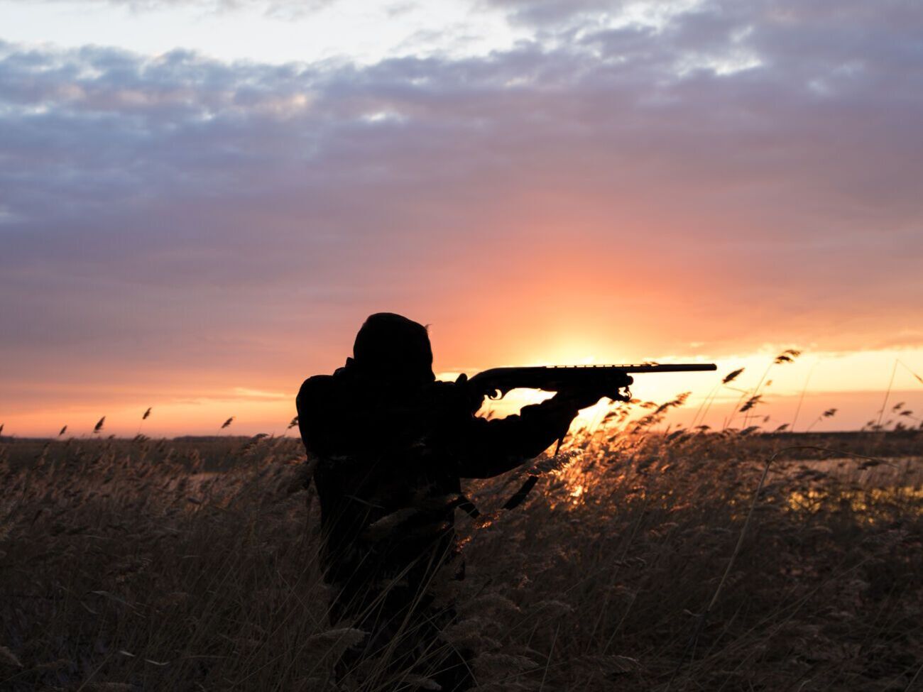 В числе авторов законопроекта &ndash; член президиума "Клуба горных охотников", который уже пытался добиться выдачи&nbsp;разрешений на добычу краснокнижных животных