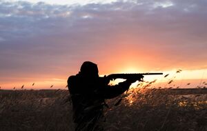 В числе авторов законопроекта – член президиума "Клуба горных охотников", который уже пытался добиться выдачи разрешений на добычу краснокнижных животных