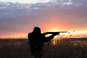 В числе авторов законопроекта – член президиума "Клуба горных охотников", который уже пытался добиться выдачи разрешений на добычу краснокнижных животных