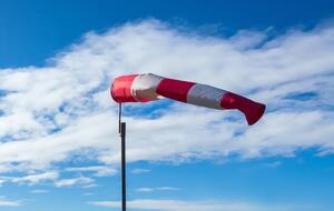 Сильний вітер завалив у Львові не одне дерево