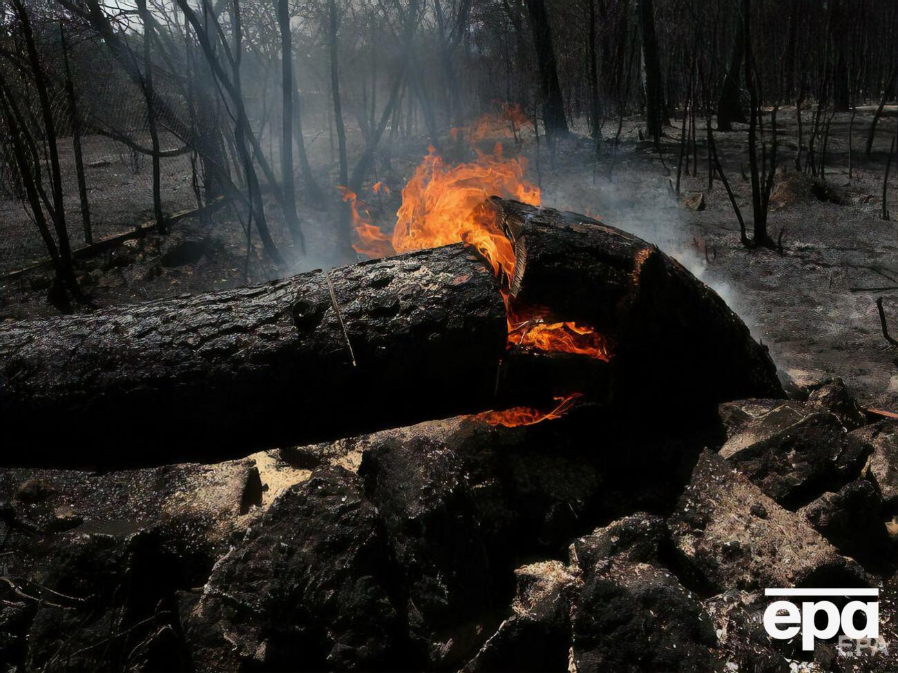 В ряде регионов алжирского штата Тизи-Узу зарегистрировали 30 пожаров