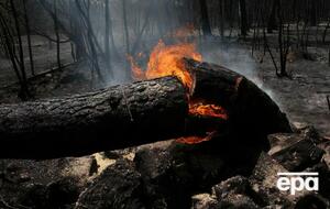 В ряде регионов алжирского штата Тизи-Узу зарегистрировали 30 пожаров